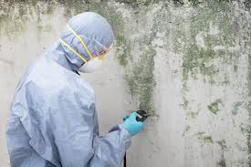 Best Mold Removal for HVAC Installations  in Lexington, OK